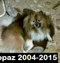 Topaz 2004-2015